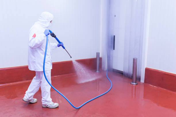 Best Dumpster Area Cleaning  in Santa Fe, NM